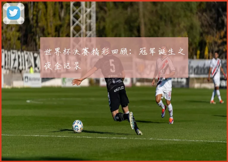 世界杯决赛精彩回顾:冠军诞生之夜全记录