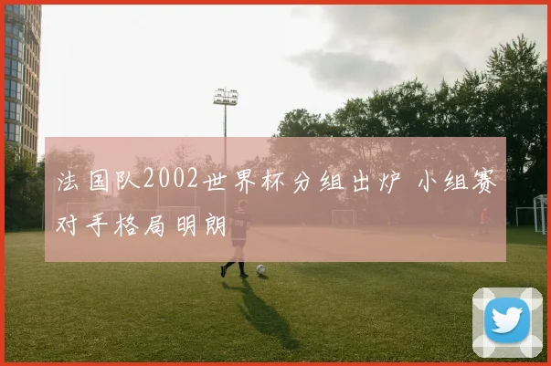 法国队2002世界杯分组出炉 小组赛对手格局明朗
