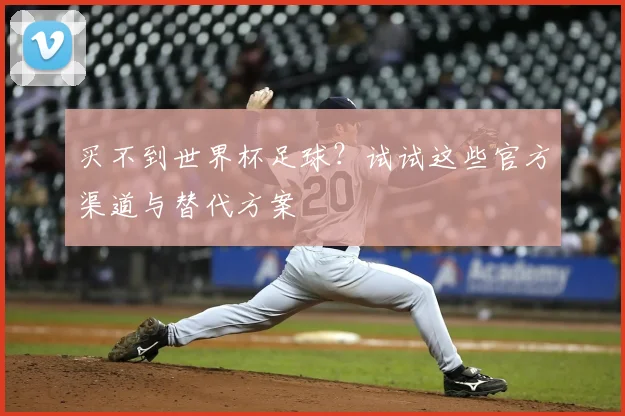买不到世界杯足球?试试这些官方渠道与替代方案