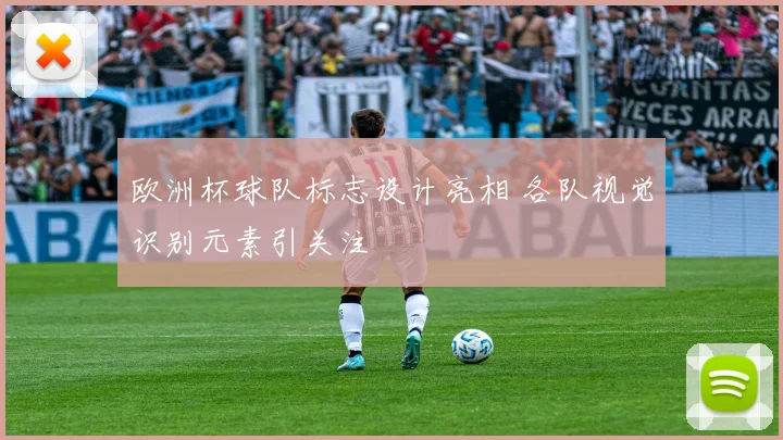 欧洲杯球队标志设计亮相 各队视觉识别元素引关注
