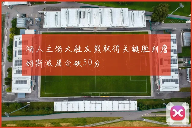 湖人主场大胜灰熊取得关键胜利詹姆斯浓眉合砍50分