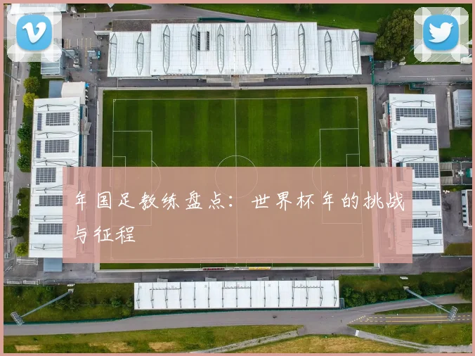 年国足教练盘点：世界杯年的挑战与征程