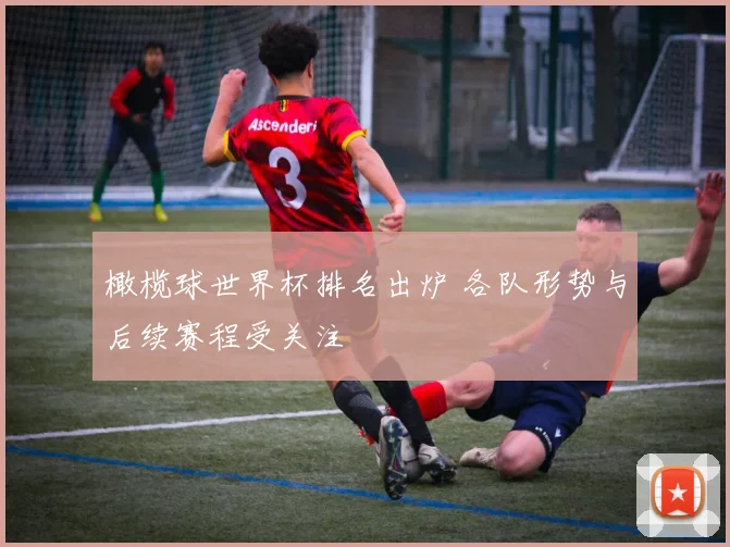 橄榄球世界杯排名出炉 各队形势与后续赛程受关注