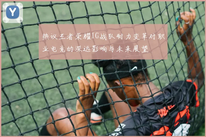热议王者荣耀IG战队耐力变革对职业电竞的深远影响与未来展望