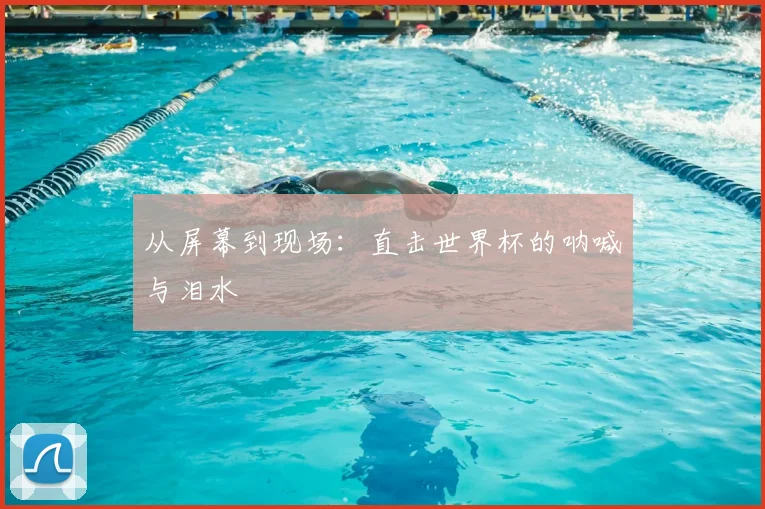 从屏幕到现场:直击世界杯的呐喊与泪水